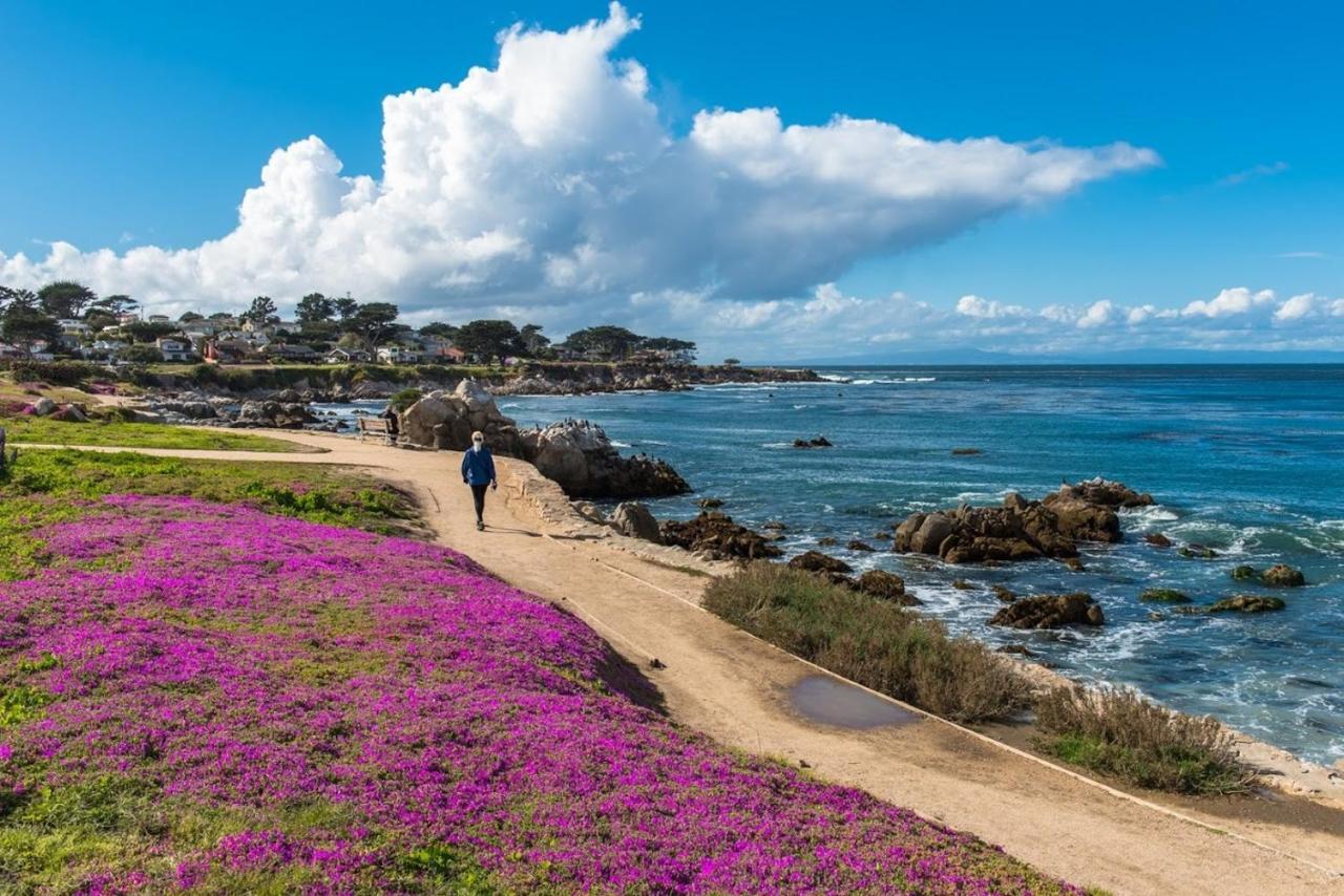 3707 Pacific'S Edge Sanctuary Home Carmel-by-the-Sea Buitenkant foto