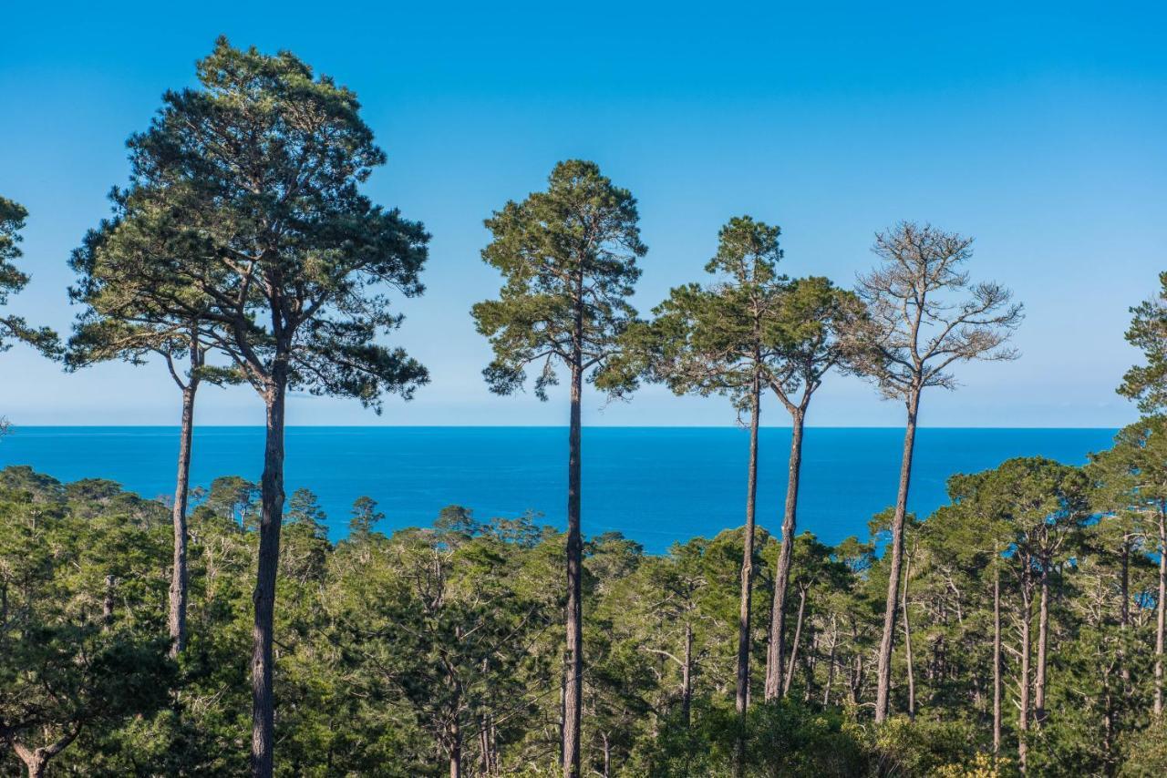 3707 Pacific'S Edge Sanctuary Home Carmel-by-the-Sea Buitenkant foto